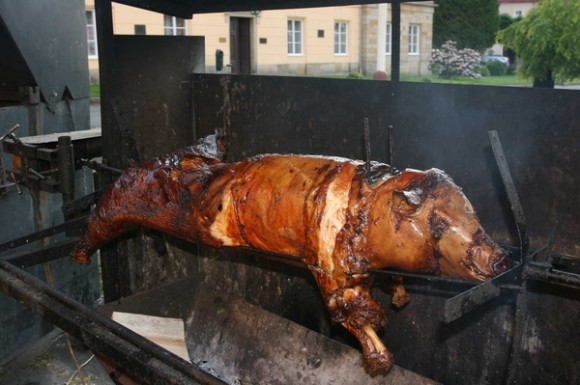Proběhl 15. ročník semináře Technologie pro elektrárny a teplárny (foto 1)