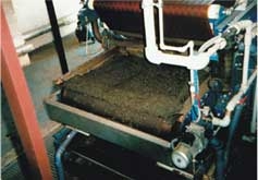 Variátorová regulace otáček kontinuálního kalolisu Kaplan