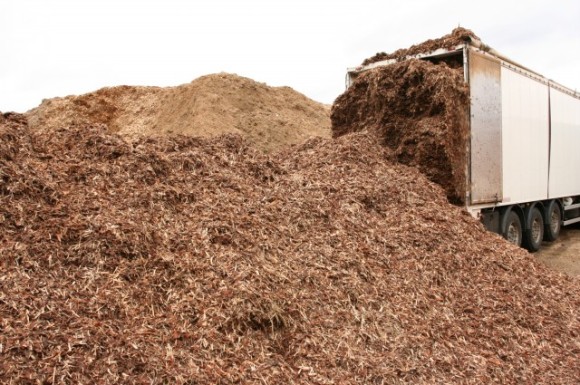 Dřevní štěpka v elektrárně. Pro dopravu se využívá stejných dopravních cest jako pro uhlí...